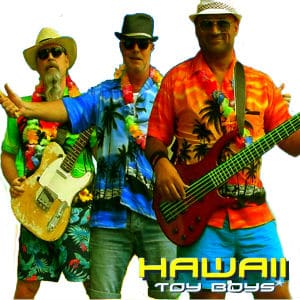 Hyr in musik till festen 3 Hawaii genomskinl web 300 Hawaii Toy Boys