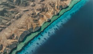 neom LAj90eAXOZA unsplash 1