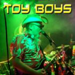 Hawaii Toy Boys coverband